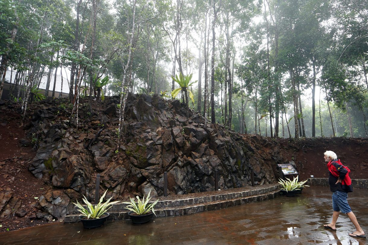Batuan Serpentinit (Batu Kulit Ular)