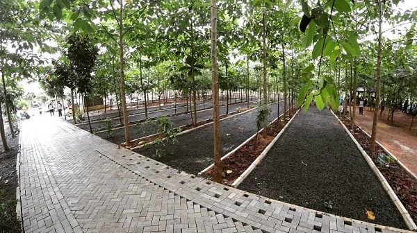 Taman Hutan Hujan Tropis