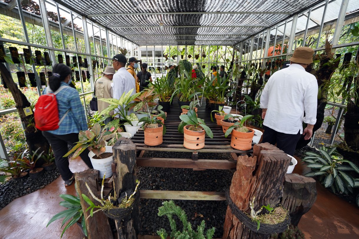 Taman Konservasi Anggrek