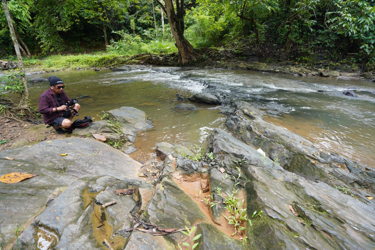 Batu Sekis Sei Kambang