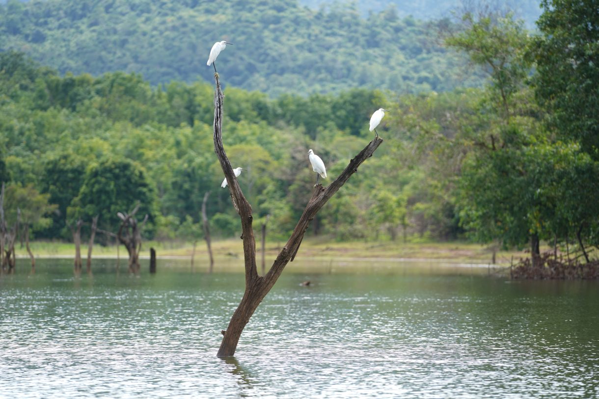 Pemukiman yang Ditenggelamkan
