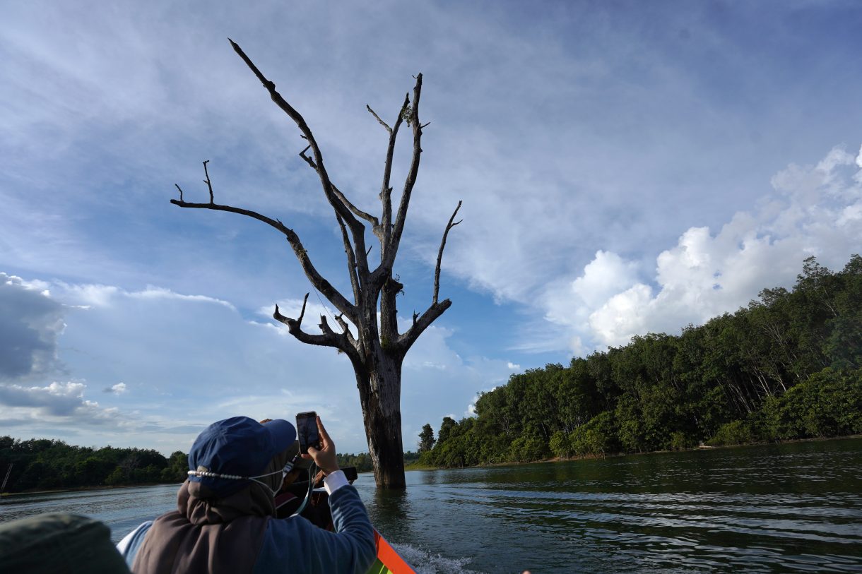 Pohon Saksi bisu Ba'ah