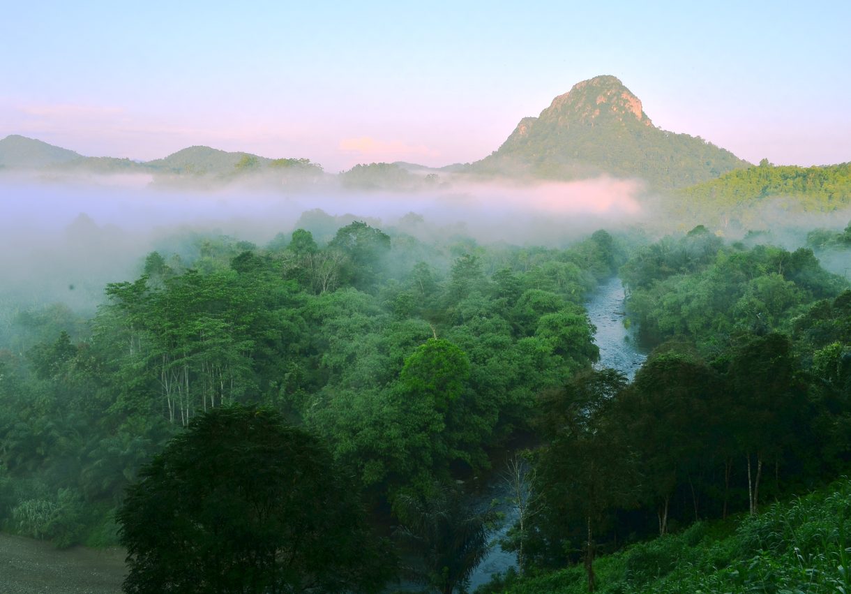Pemandangan Bukit Kantawan